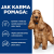 Hill's PD z/d Food Sensitivities Sucha karma hipoalergiczna dla psa 3kg