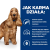 Hill's PD z/d Food Sensitivities Sucha karma hipoalergiczna dla psa 3kg