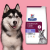 Hill's Digestive CareDog Sucha karma dla psa gastryczna  1,5 kg