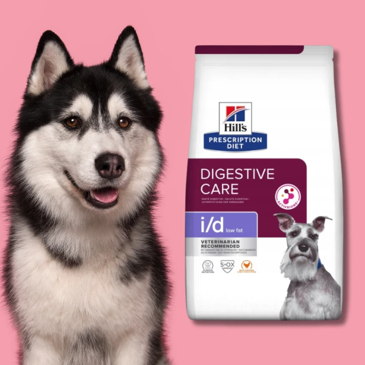 Hill's Digestive CareDog Sucha karma dla psa gastryczna  1,5 kg