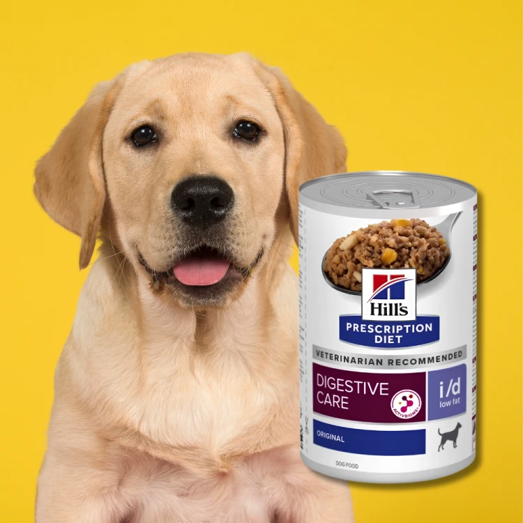 Hill's PD i/d Canine Low Fat karma z niską zawartością tłuszczu 360g