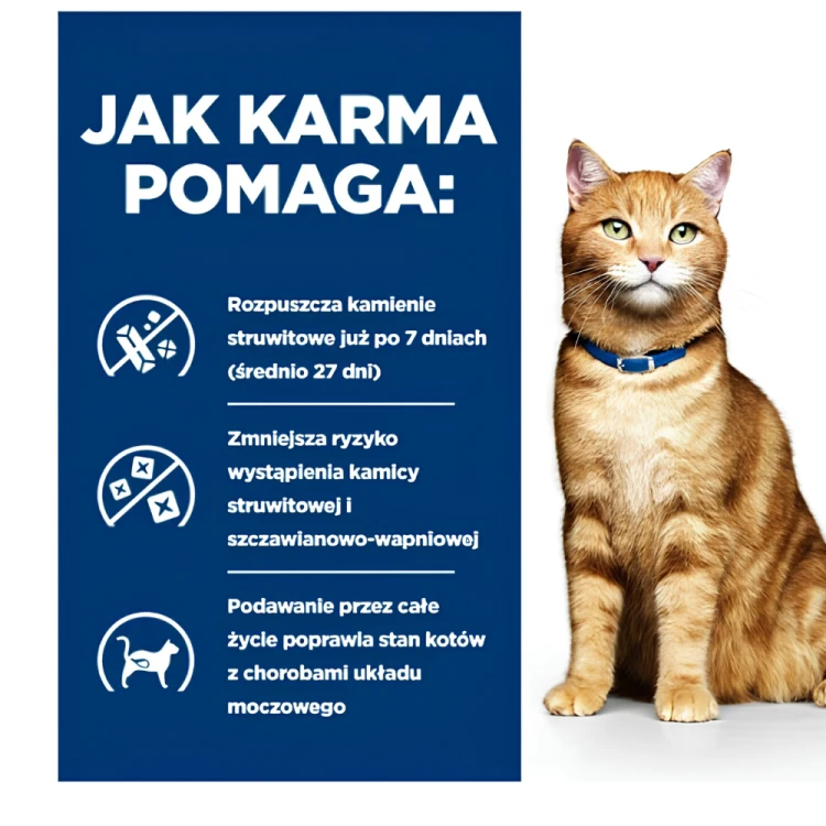 Hill's PD c/d Urinary Care Multicare sucha karma dla kota z kurczakiem 3kg