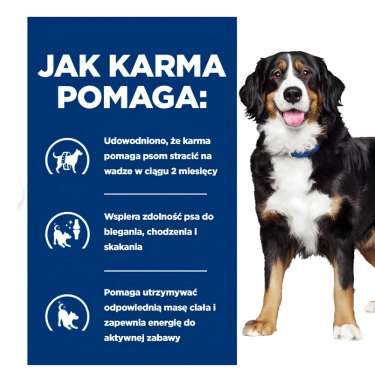 Hill's PD Metabolic + Mobility Sucha karma dla psa Kontrola wagi 12kg