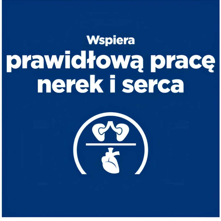 Hill's PD y/d Thyroid Care puszka 156g karma dla kota tarczyca