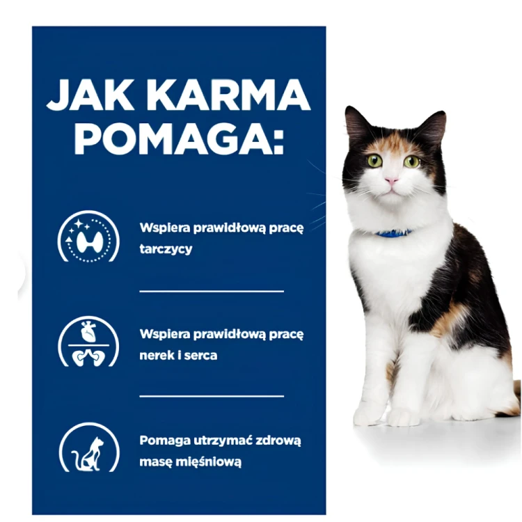 Hill's PD y/d Thyroid Care puszka 156g karma dla kota tarczyca