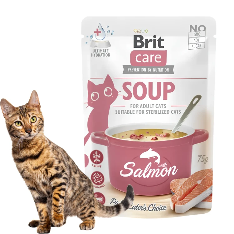 Brit Care Zupa z Łososiem 75g Karma mokra dla kota