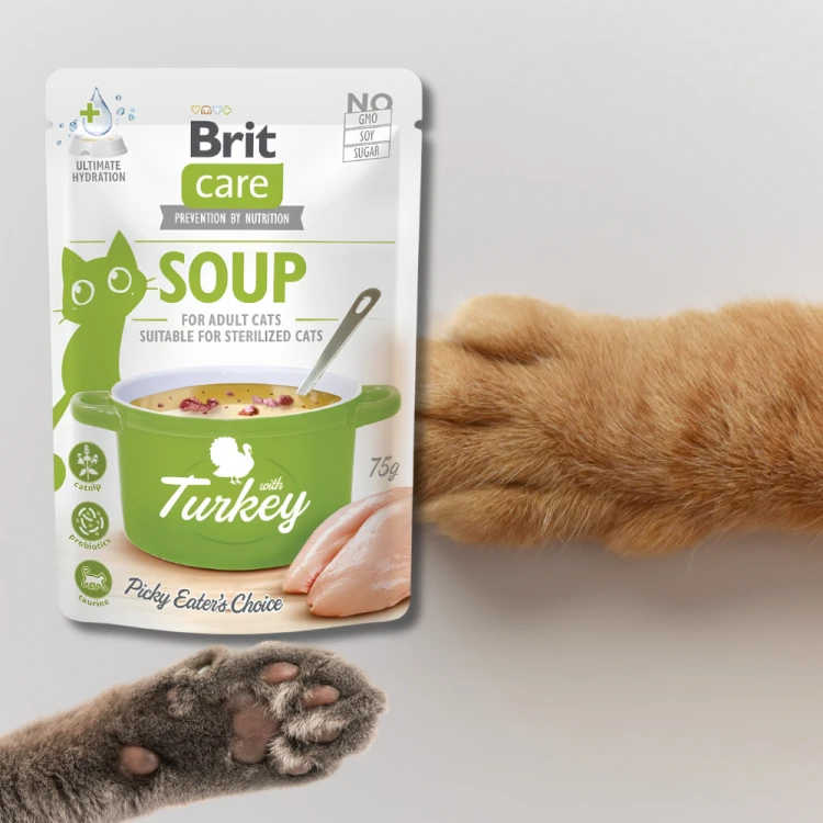 Brit Care Zupa z Indykiem 75g Karma mokra dla kota