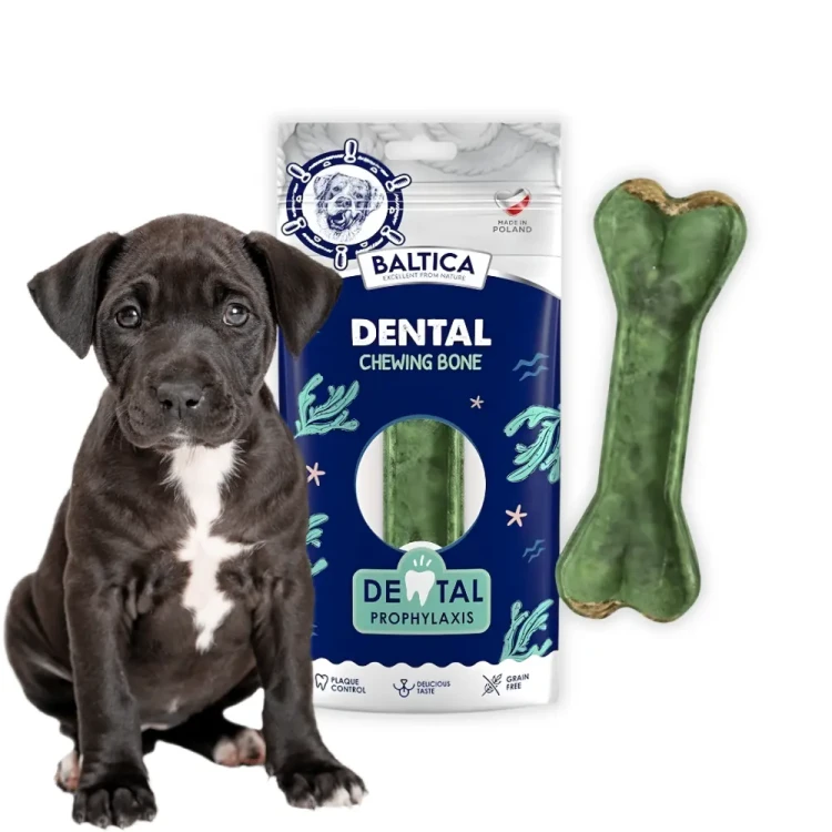Baltica Kość do żucia Dental Bone 1 szt gryzak dentystyczny dla psa