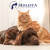 Holista Cat Vitamins 90 tabl. Witaminy dla kota