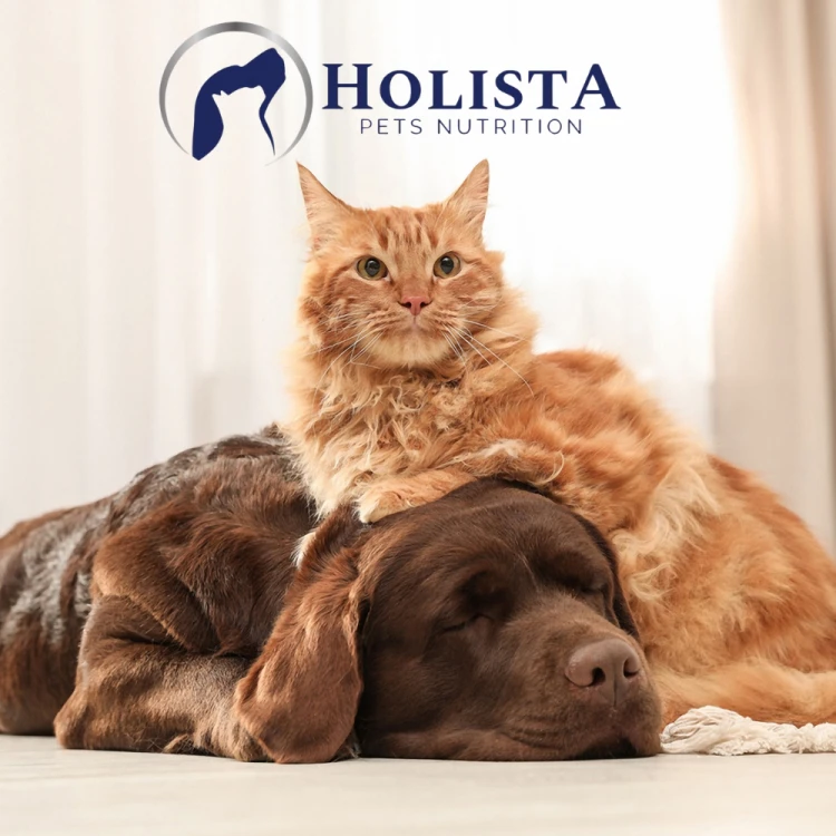 Holista Cat Vitamins 90 tabl. Witaminy dla kota