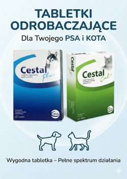 Cestal tabletki odrobaczające dla psa i kota - strona główna