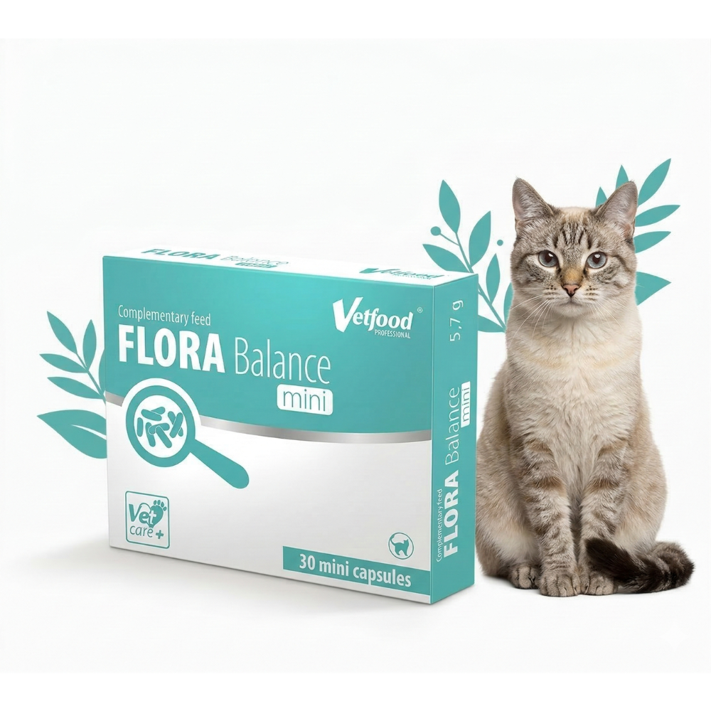 Flora balance mini synbiotyk dla kota na jelita