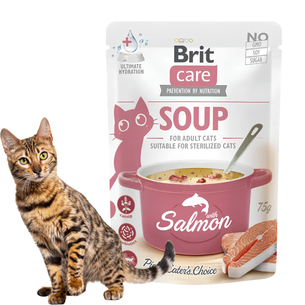 Brit Care Zupa z Łososiem 75g Karma mokra dla kotów
