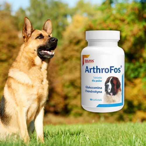Dolfos ArthroFos 90 tabletek – suplement na stawy dla psa