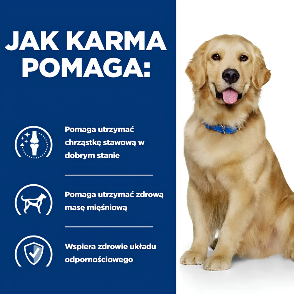 hills-sucha-karma-weterynaryjna-na-stawy-dla-psa