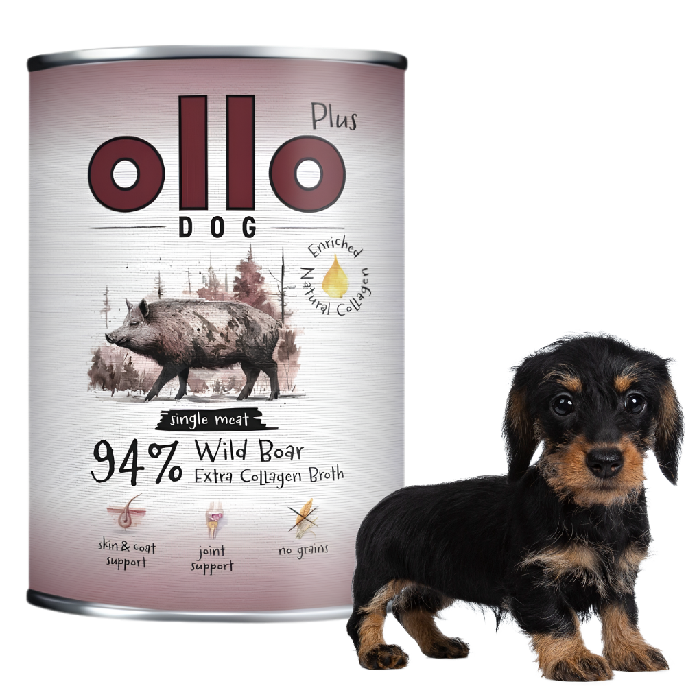 Ollo Plus 400g