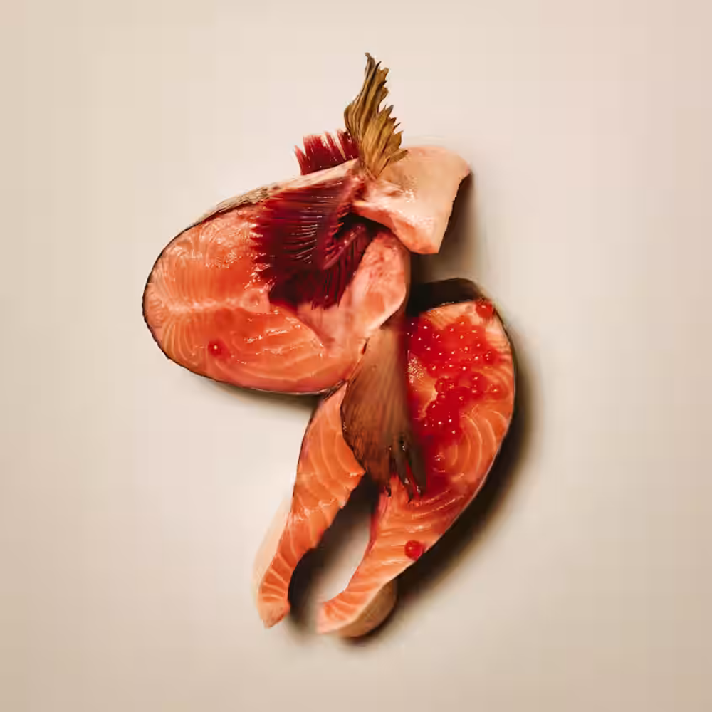 Carnilove łosoś