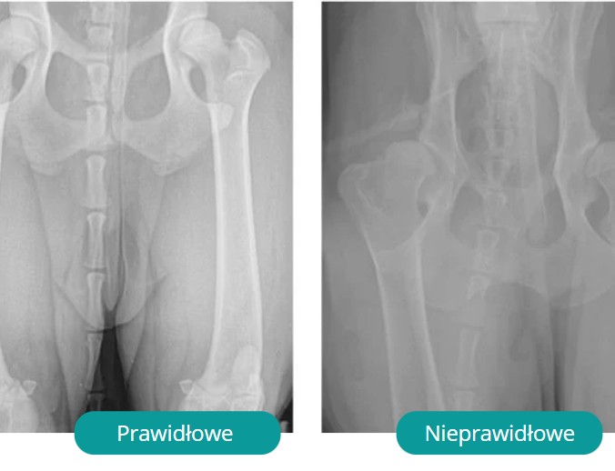 Zrzut ekranu 2025-06-23 100652.jpg