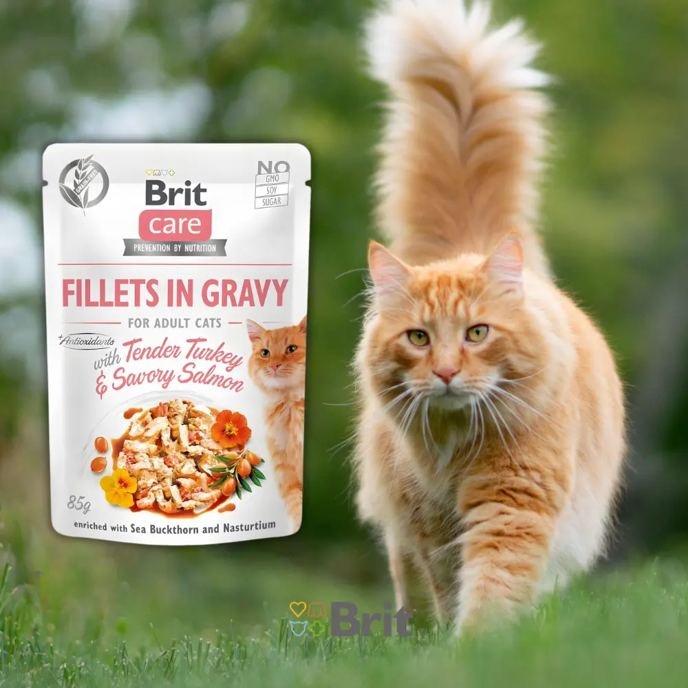 brit-care-cat-indyk-losos-mokra-karma-dla-kota-saszetka