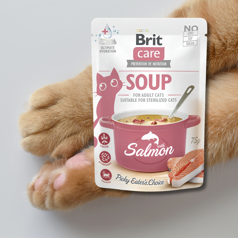 brit-care-losos-zupa-kot
