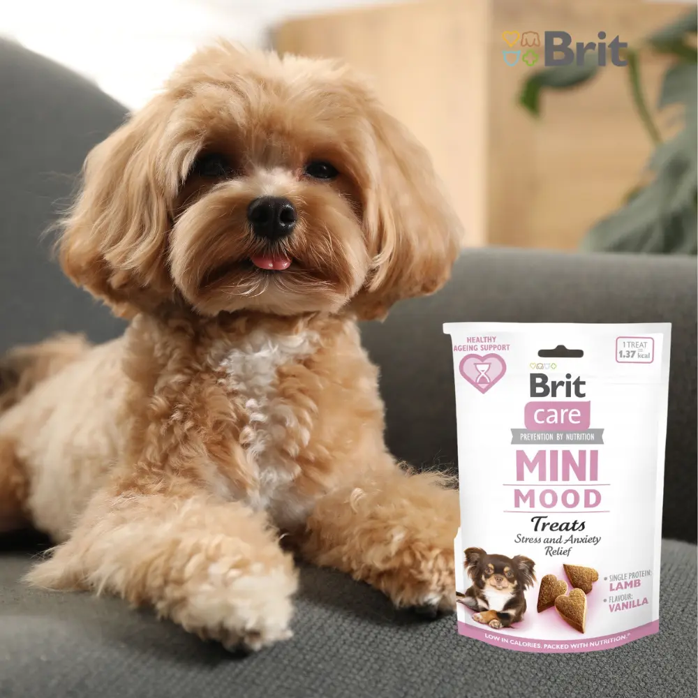 przysmaki dla małych ras brit care z krewetkami