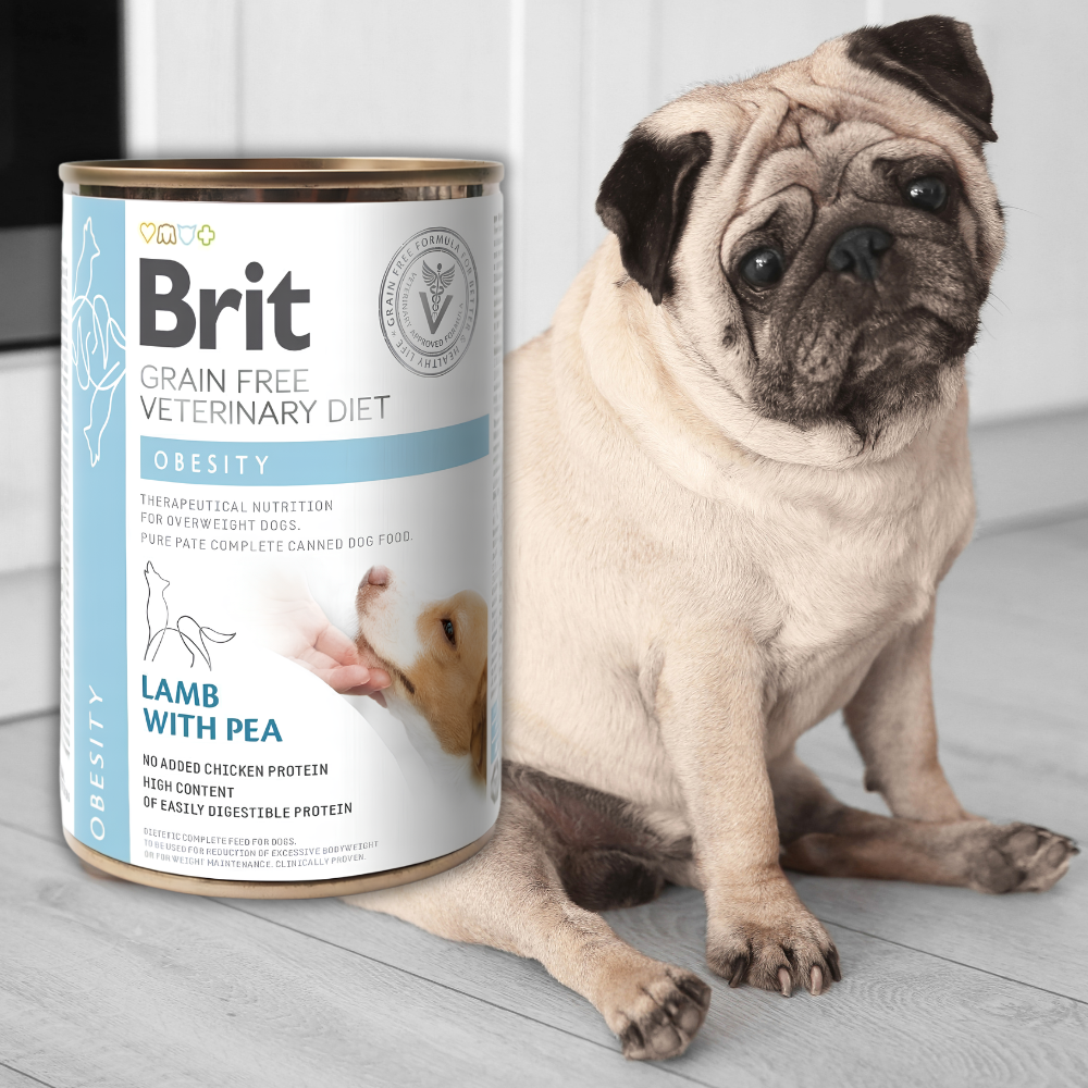 Brit Veterinary Diet Dog Obesity Jagnięcina z Groszkiem 400g – Specjalistyczna mokra karma dla psa z nadwagą