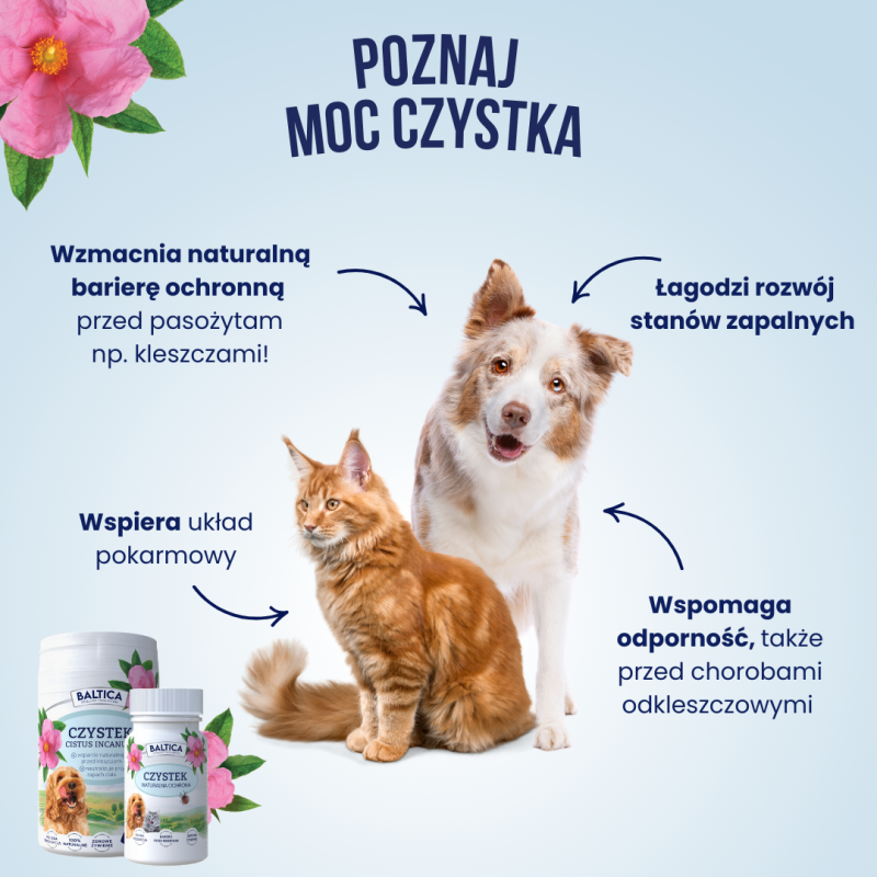 czystek-dla-psa-i-kota