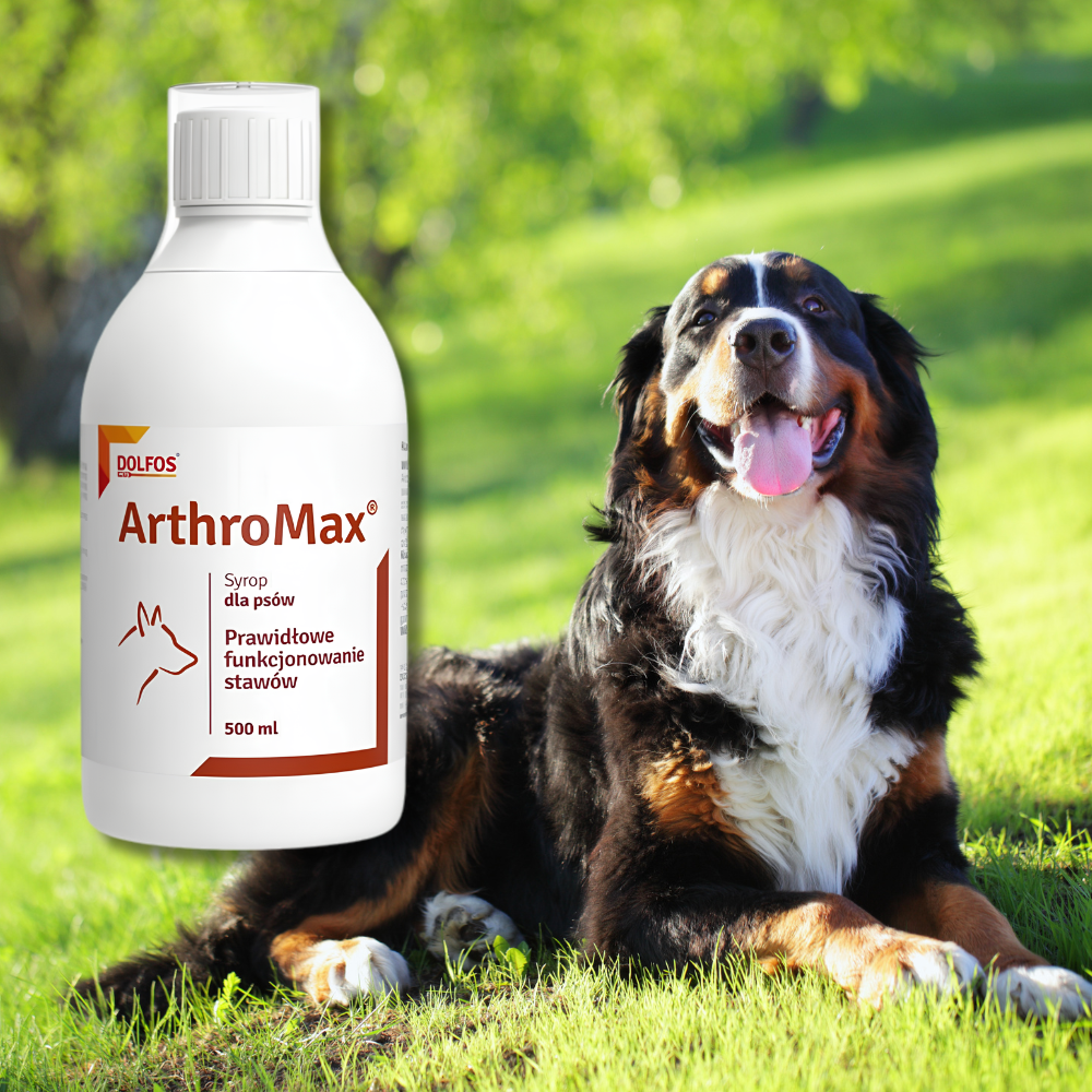 dolfos-arthromax-opakowanie-500ml-syrop