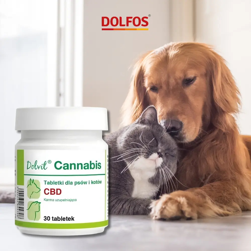 dolfos-dolvit-cannabis-30-tabletek-opakowanie