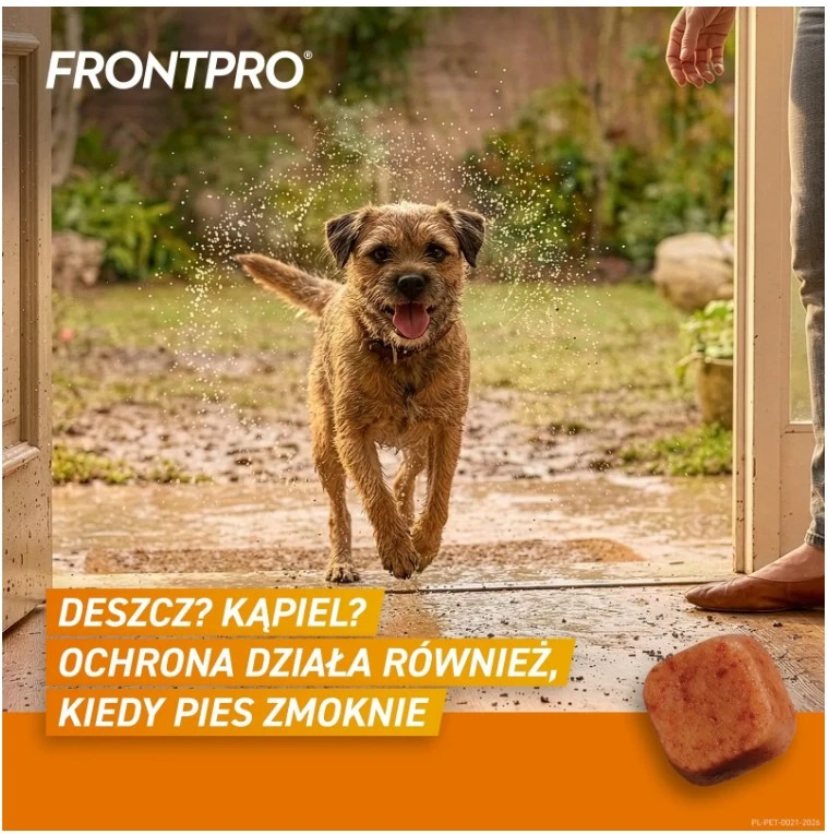 Frontpro smakowite tabletki na kleszcze i pchły