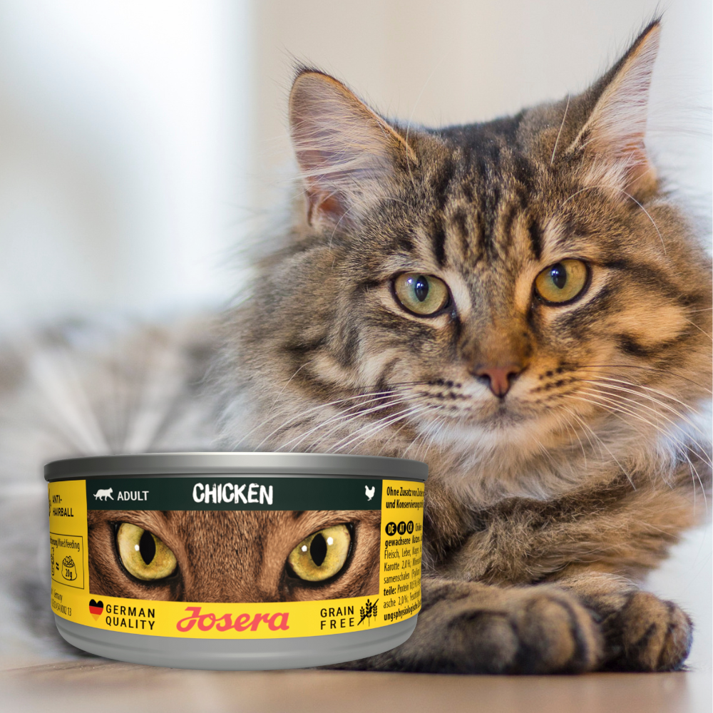 josera-chicken-cat-85g-mokra-karma-dla-kota