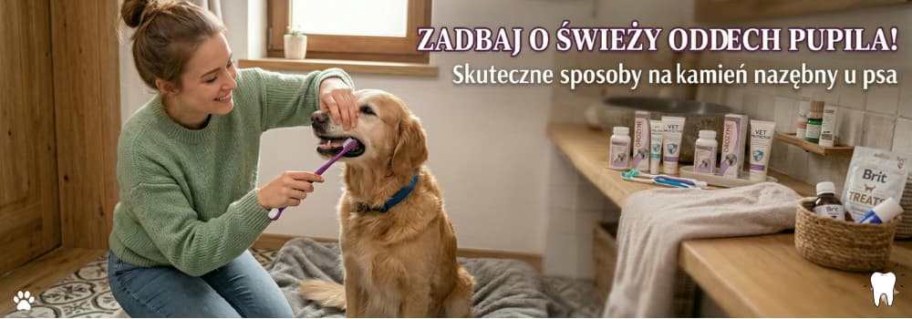 Jak usuąć kamień nazębny u psa