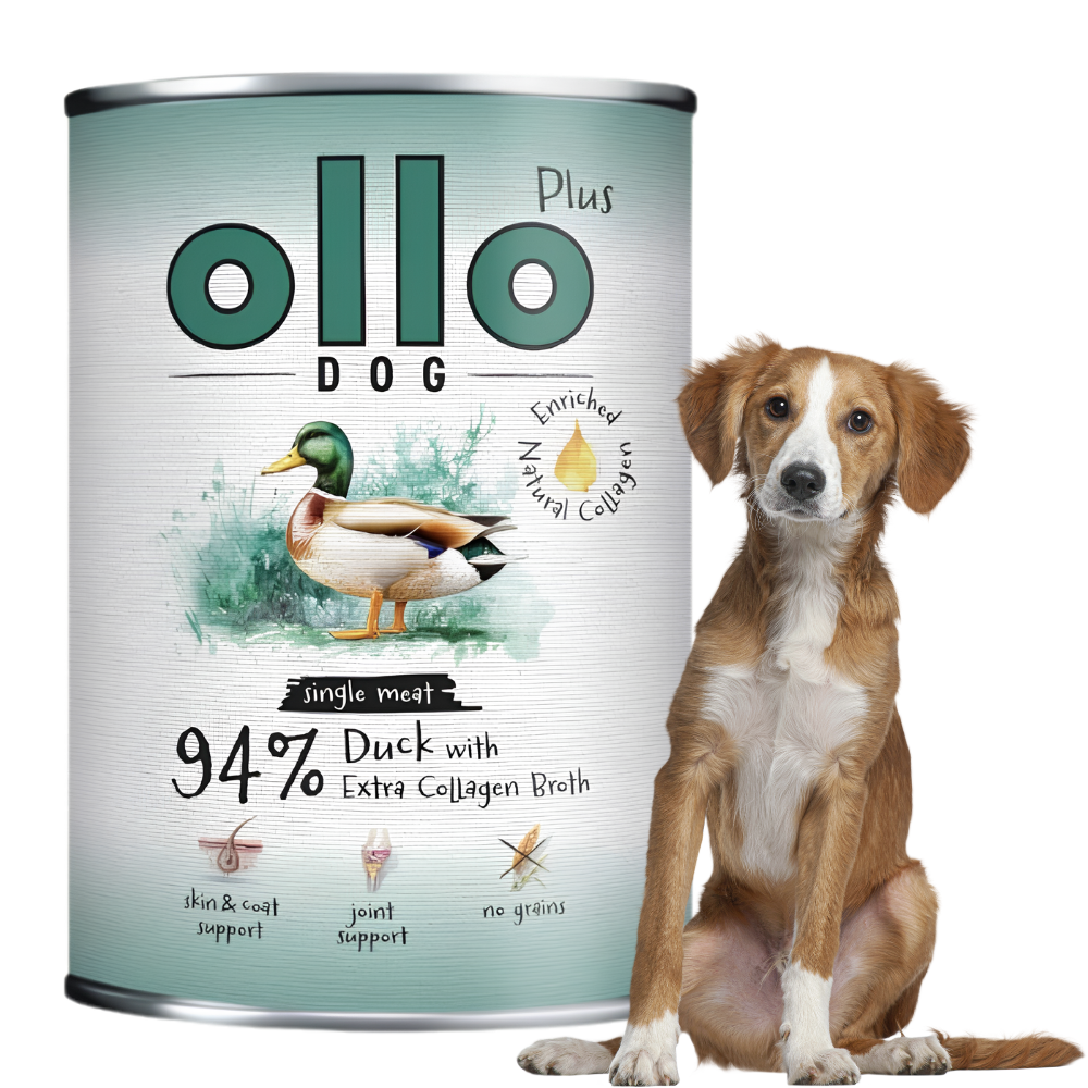 Mokra karma dla psa z kolagenem Ollo Plus 400g