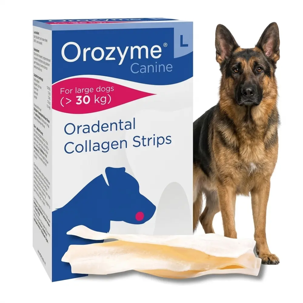 Orozyme płatki dentystyczna dla duzego psa