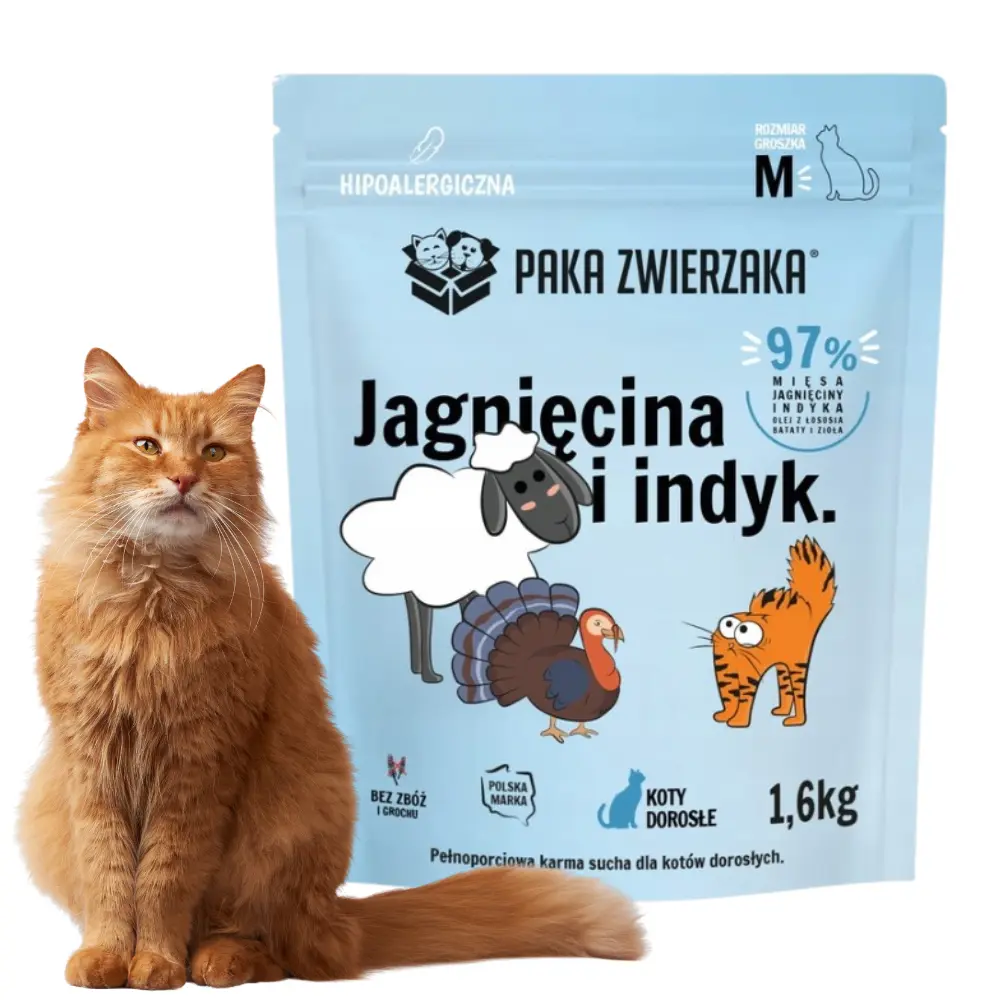 karma sucha dla kota paka zwierzaka