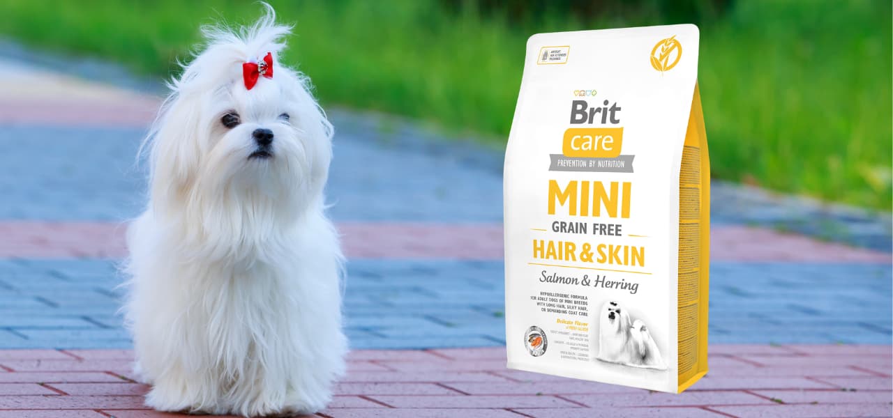 Brit Care Mini Grain-Free Hair & Skin, łosoś i śledź, 2 kg