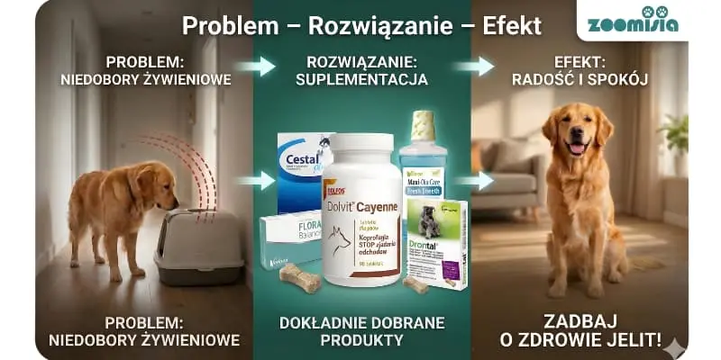 Zdrowy, radosny pies z lśniącą sierścią siedzi obok słoiczka suplementów (np. Dolvit Cayenne lub żwacze Bello & Friends). Wsparcie trawienia i flory jelitowej psa. Zoomisia.pl.
