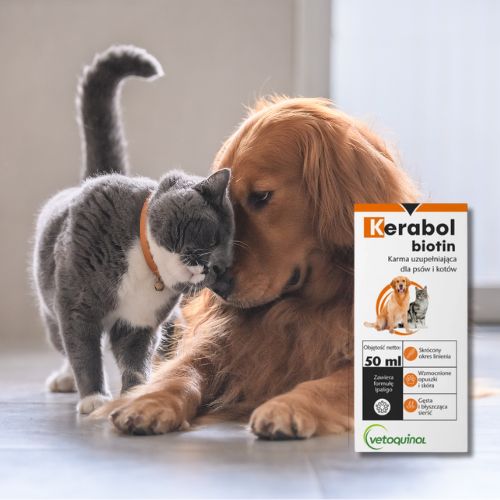 Integratore Kerabol Biotin, Barattolo Da 1 Kg, Per La Salute Degli Zoccoli Dei Cavalli